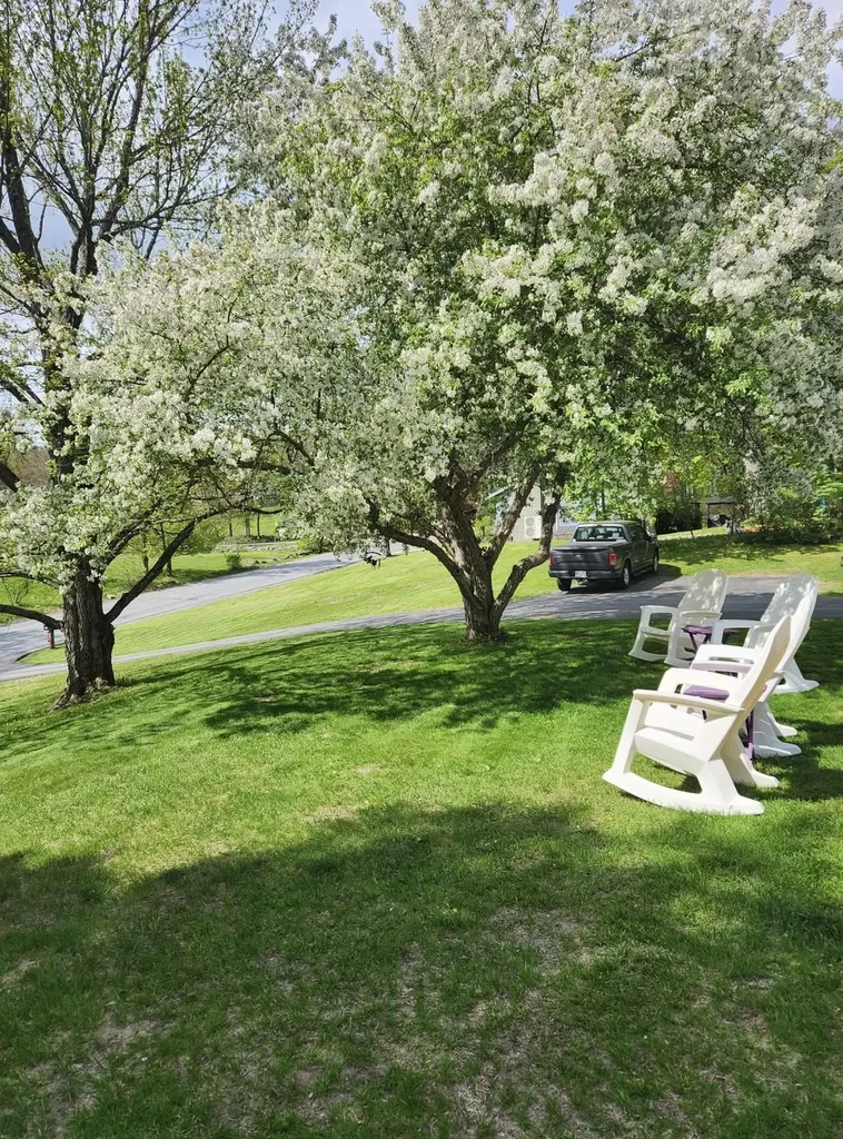 139 Belknap Avenue Newport NH 03773