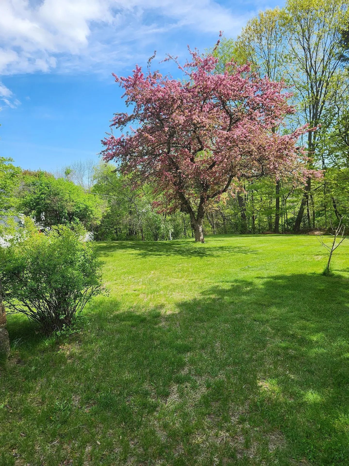 139 Belknap Avenue Newport NH 03773