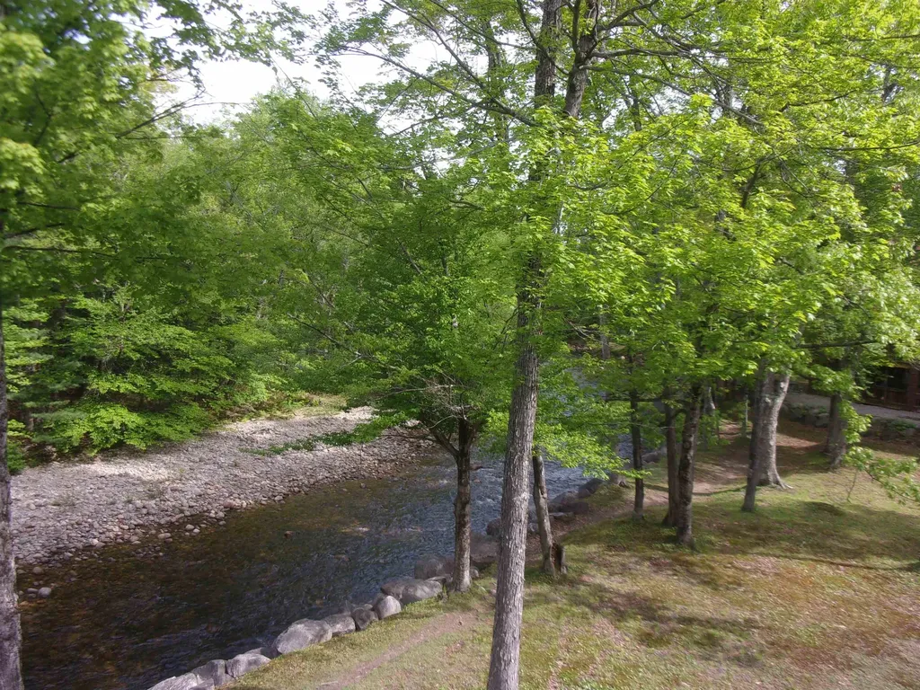 45 Riverfront Drive Woodstock NH 03262