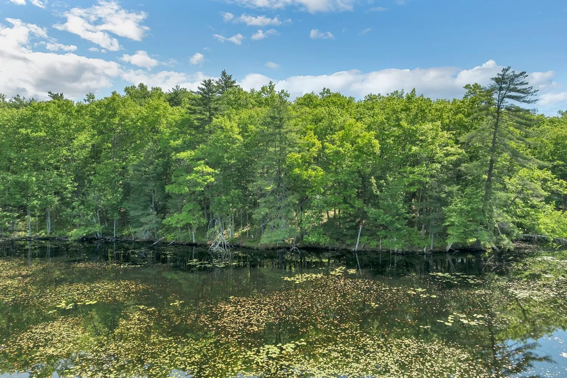 40 Norwood Road Salem NH 03079