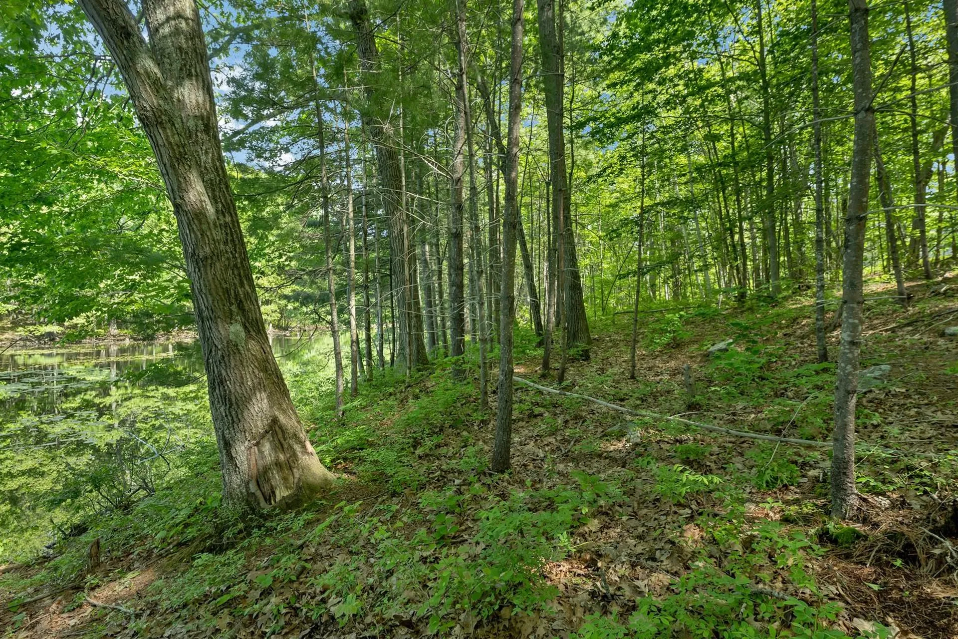 40 Norwood Road Salem NH 03079
