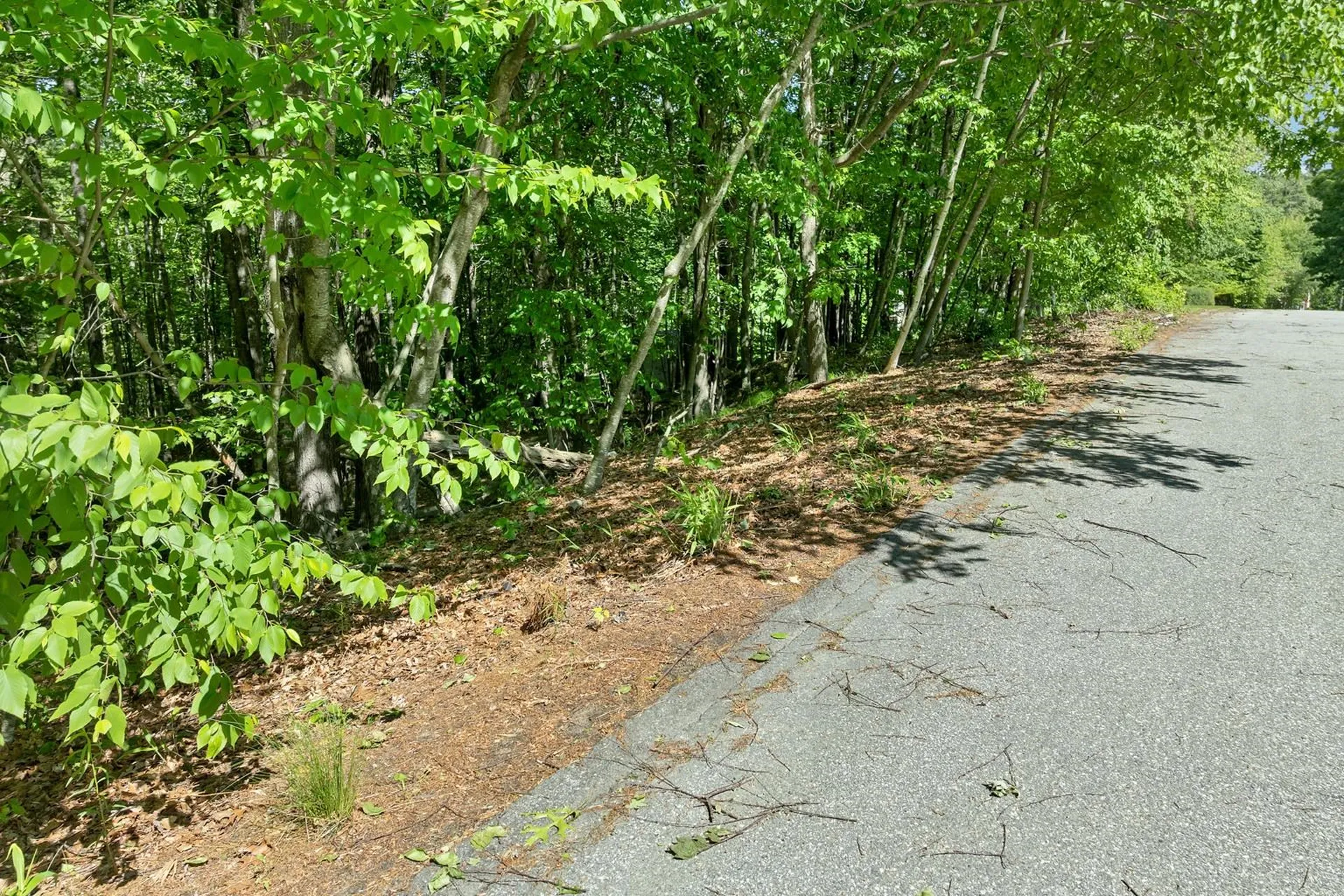 40 Norwood Road Salem NH 03079