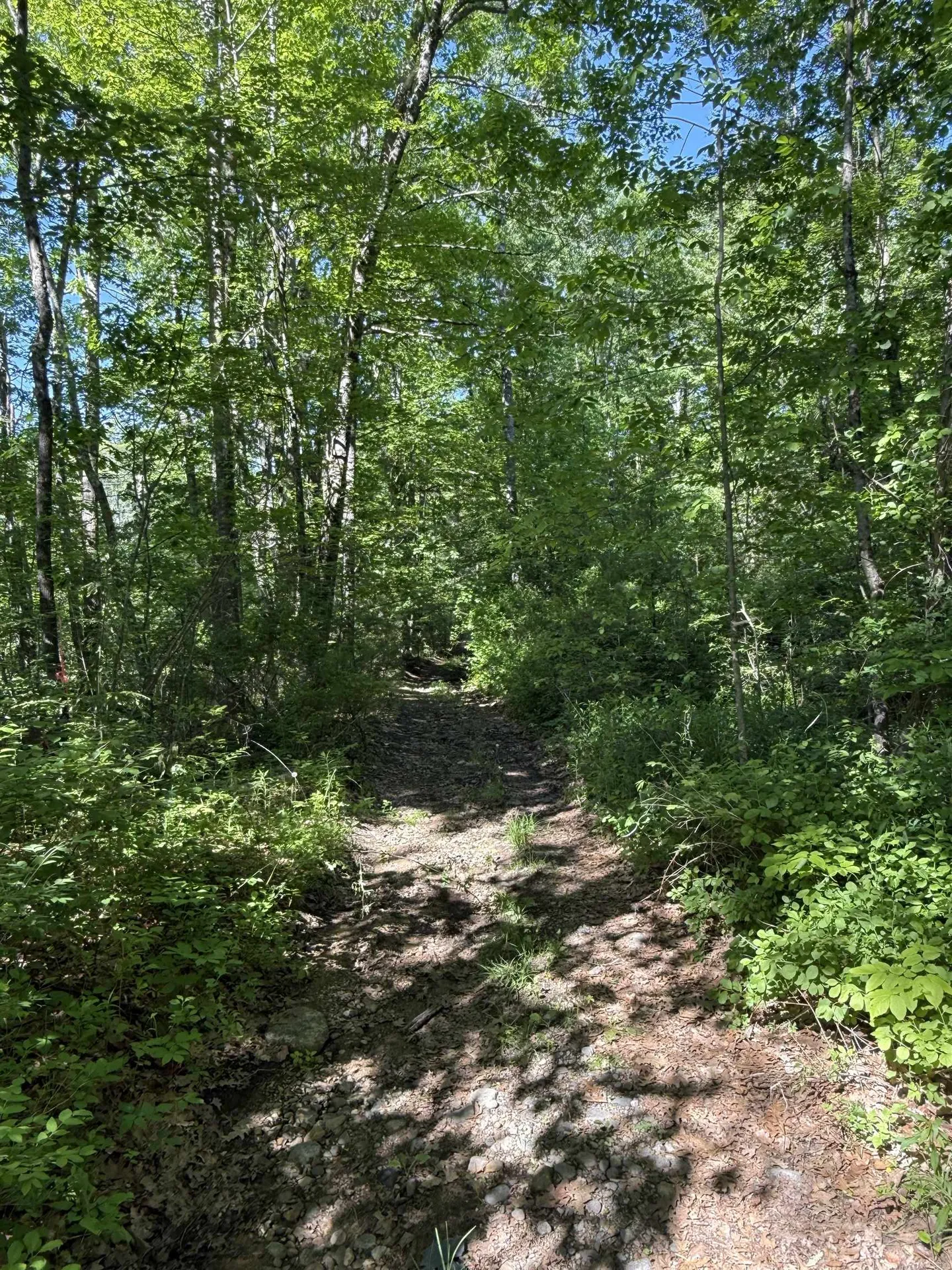 00 Upper Bay Road Sanbornton NH 03269