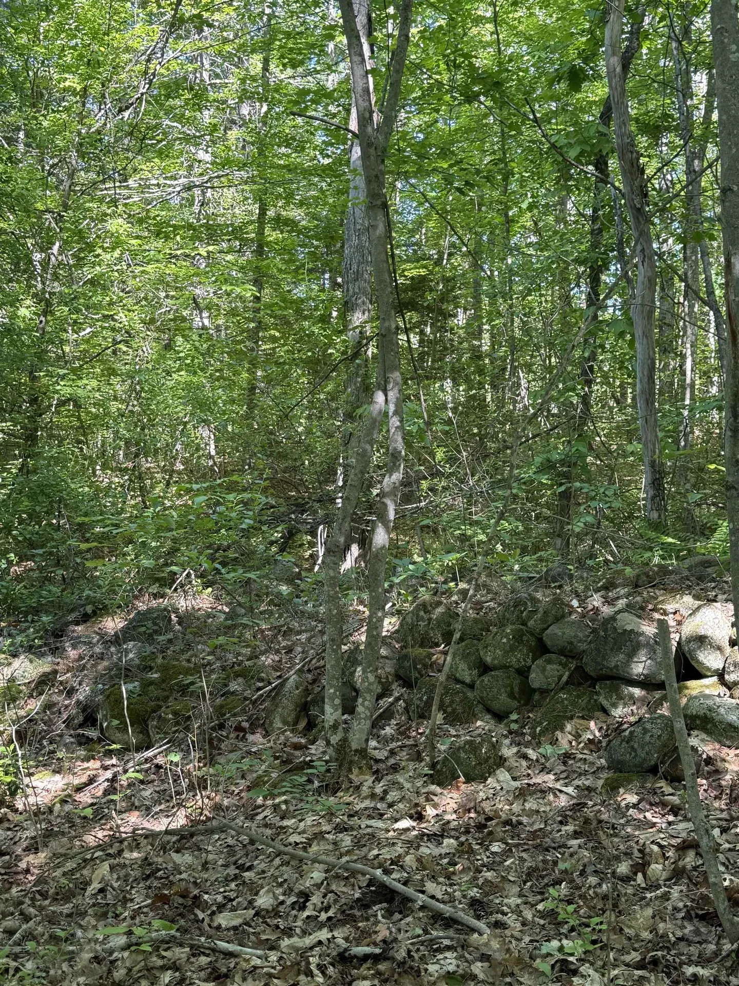 00 Upper Bay Road Sanbornton NH 03269