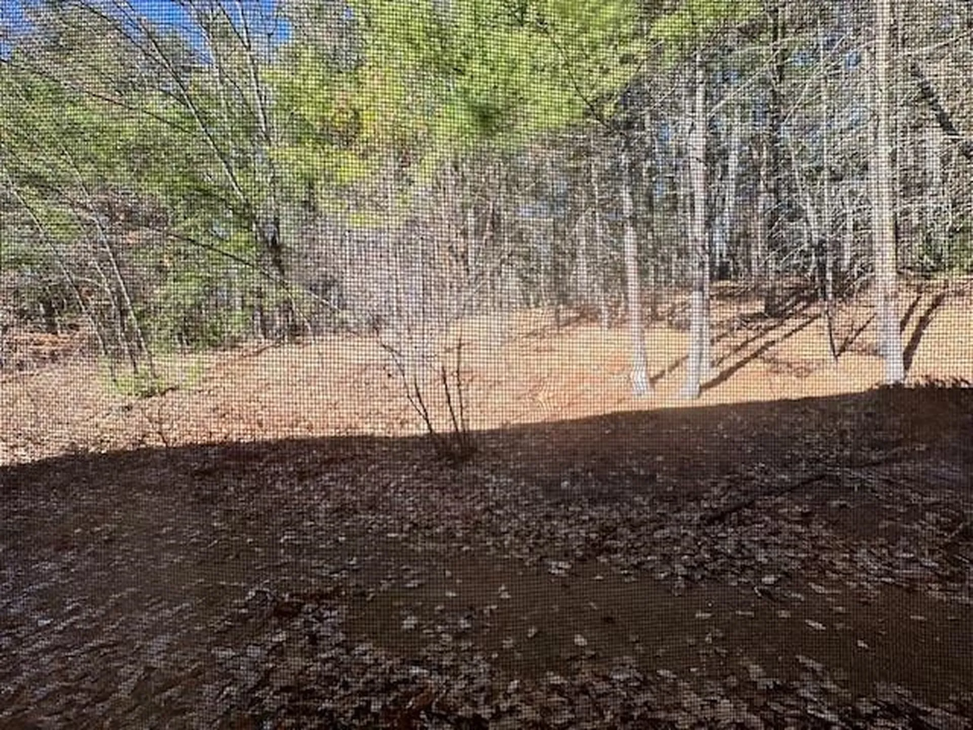 2955 White Mountain Highway Conway NH 03860