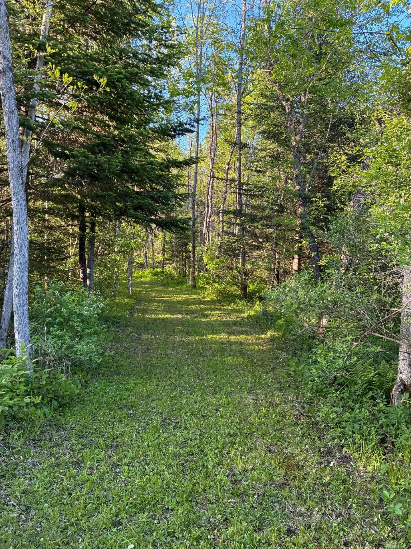 Grist Mill Pit Road Concord VT 05824