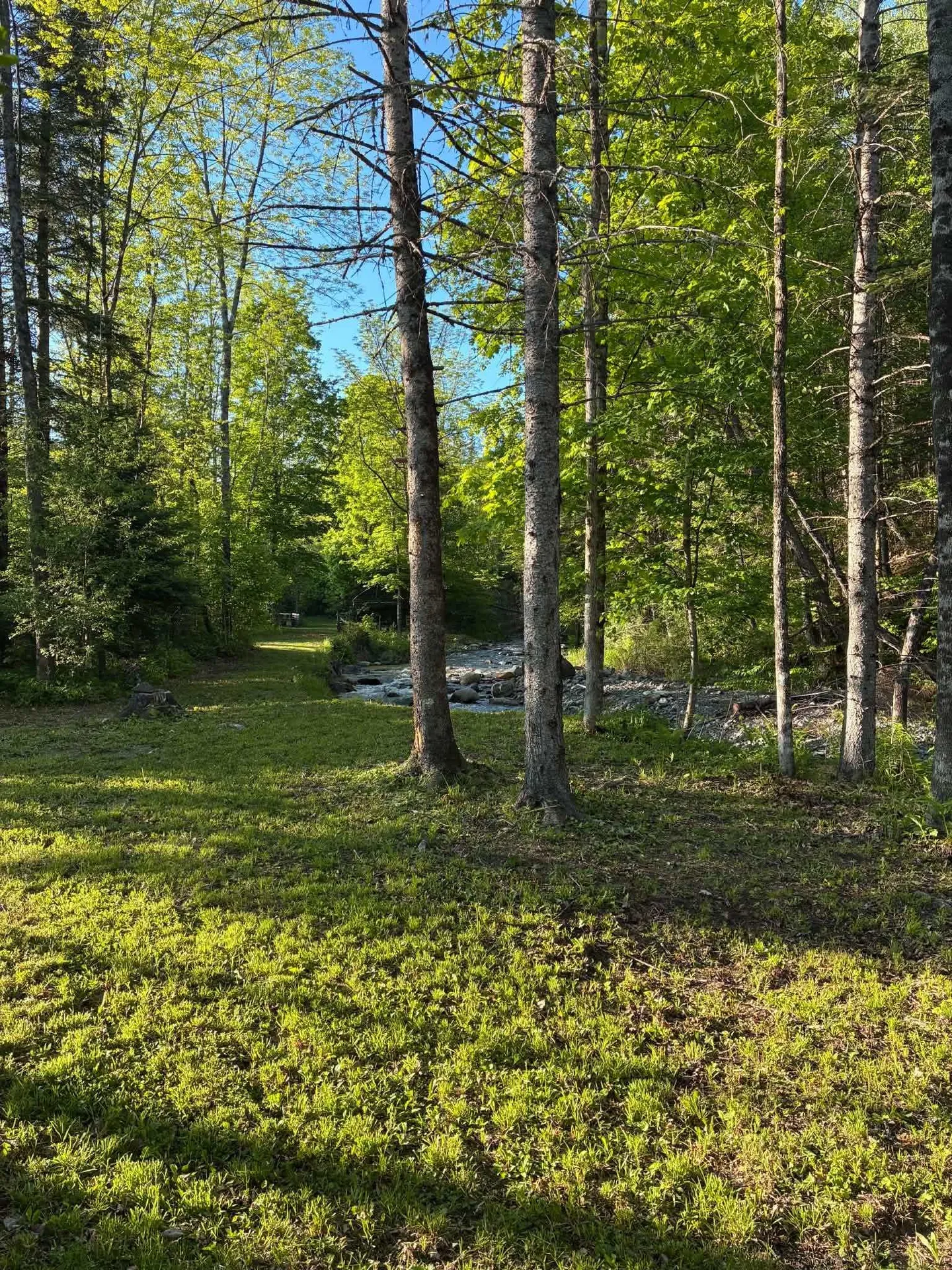 Grist Mill Pit Road Concord VT 05824