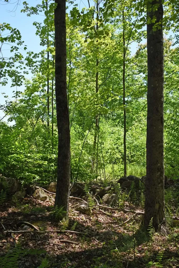 401 Sixth Range Road Pembroke NH 03275