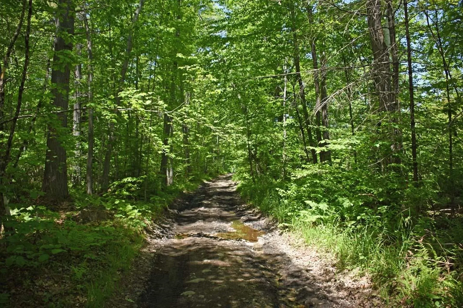 401 Sixth Range Road Pembroke NH 03275