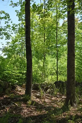 401 Sixth Range Road Pembroke NH 03275