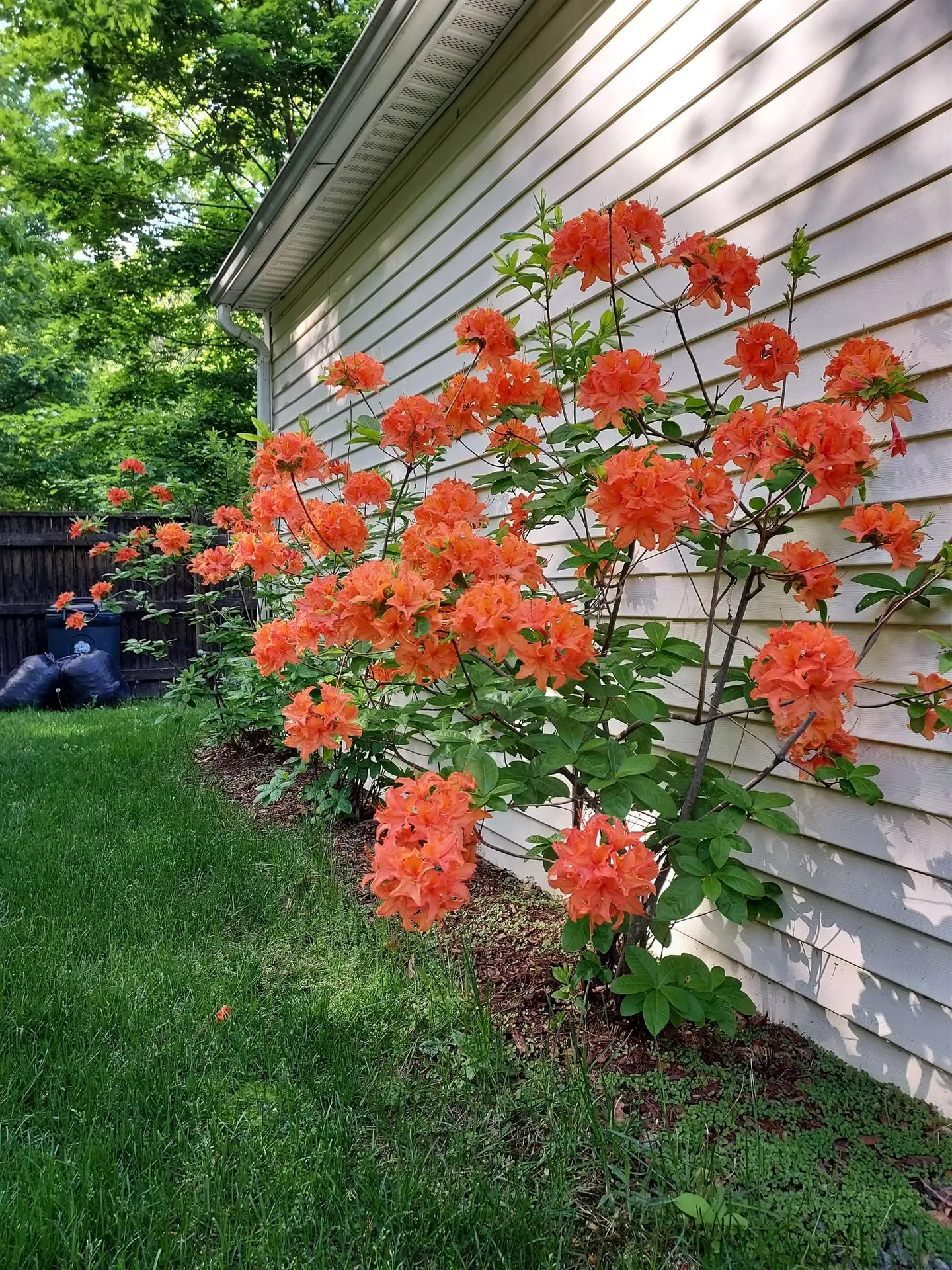 5 Captain Danforth Lane Amherst NH 03031