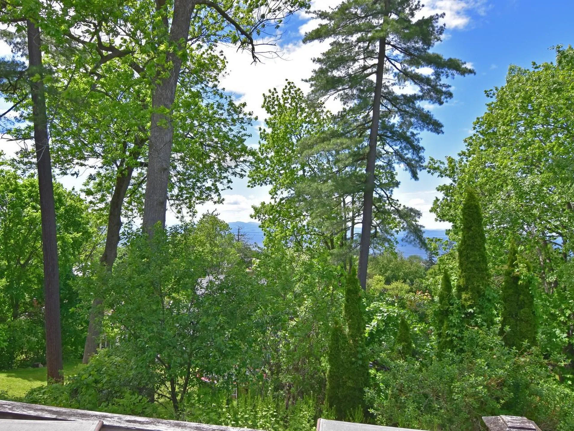 33 Summit Ridge Burlington VT 05401