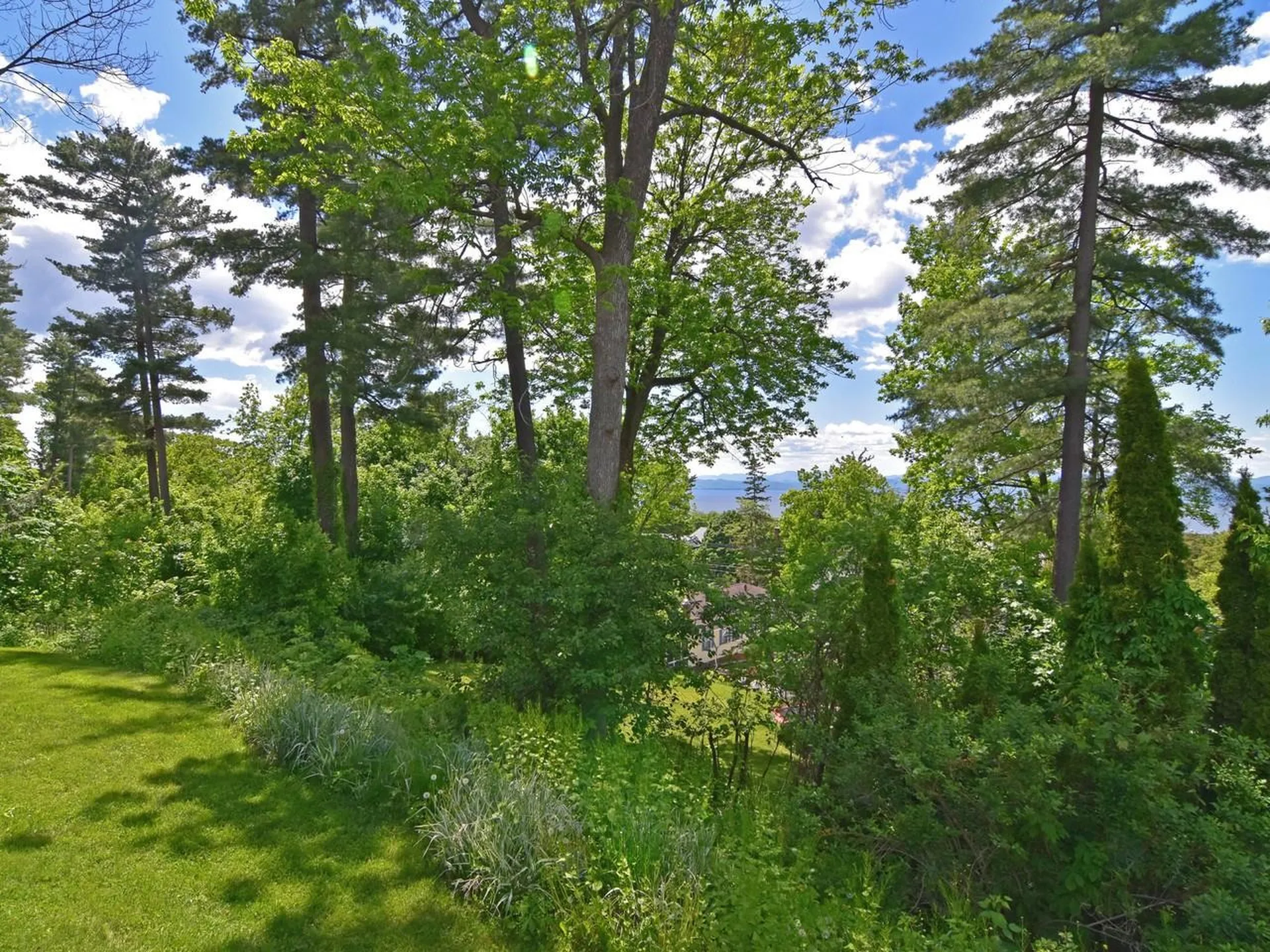 33 Summit Ridge Burlington VT 05401