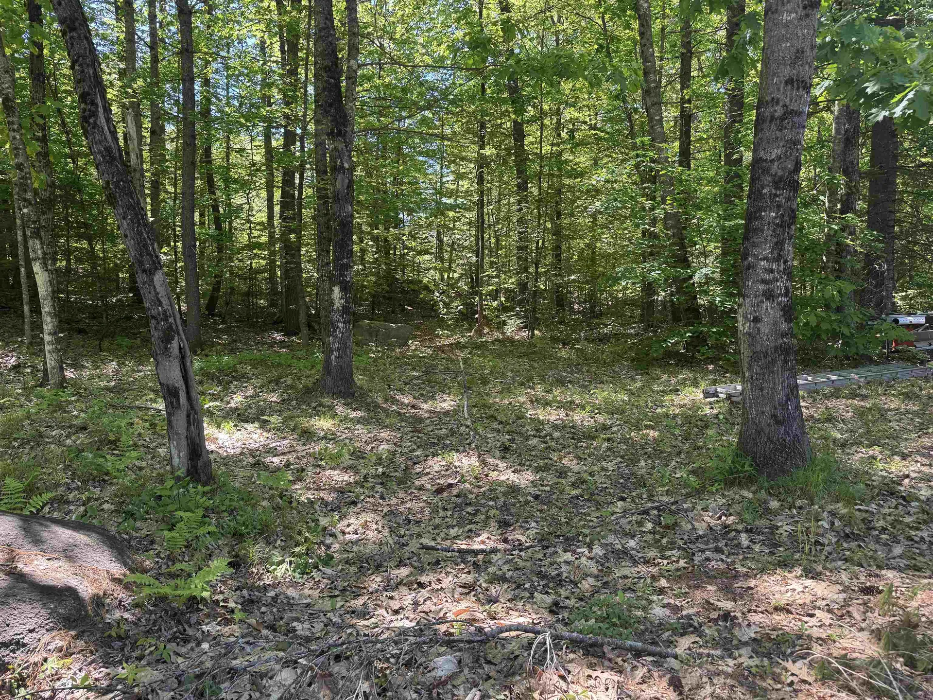 36 Moose Ridge Road Ossipee NH 03864