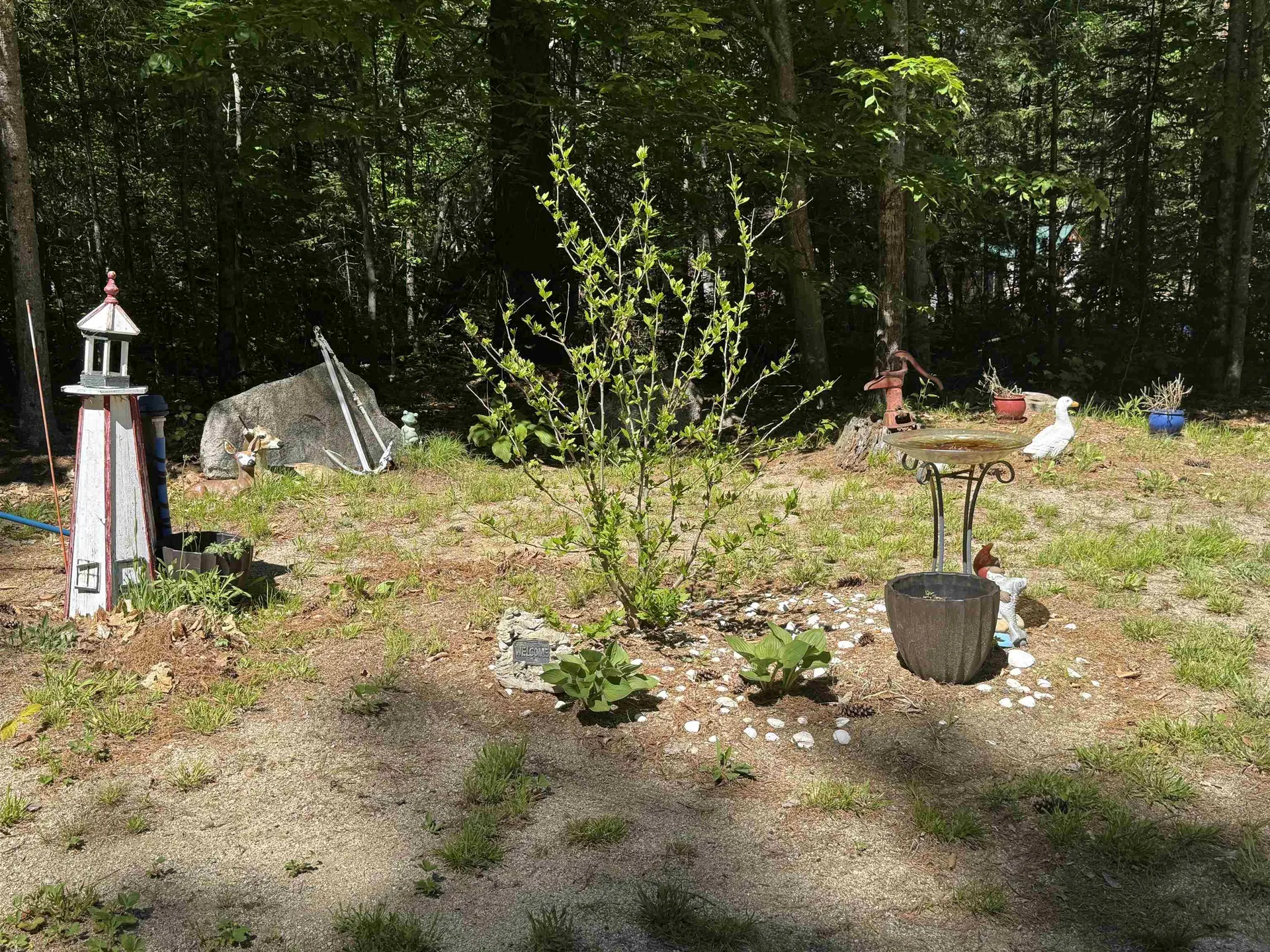 36 Moose Ridge Road Ossipee NH 03864