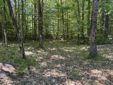 36 Moose Ridge Road Ossipee NH 03864