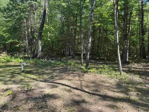 36 Moose Ridge Road Ossipee NH 03864