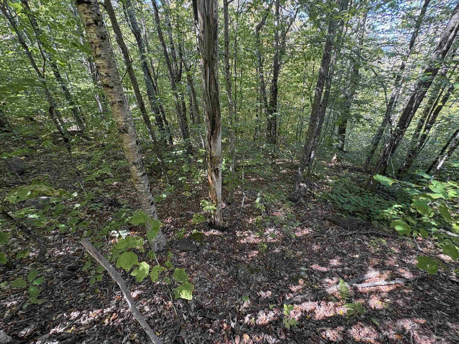 0 Summit Drive Campton NH 03223