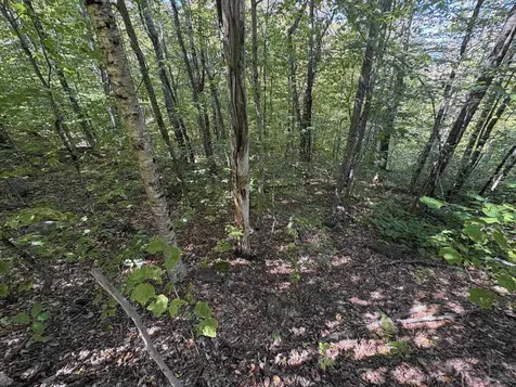 0 Summit Drive Campton NH 03223