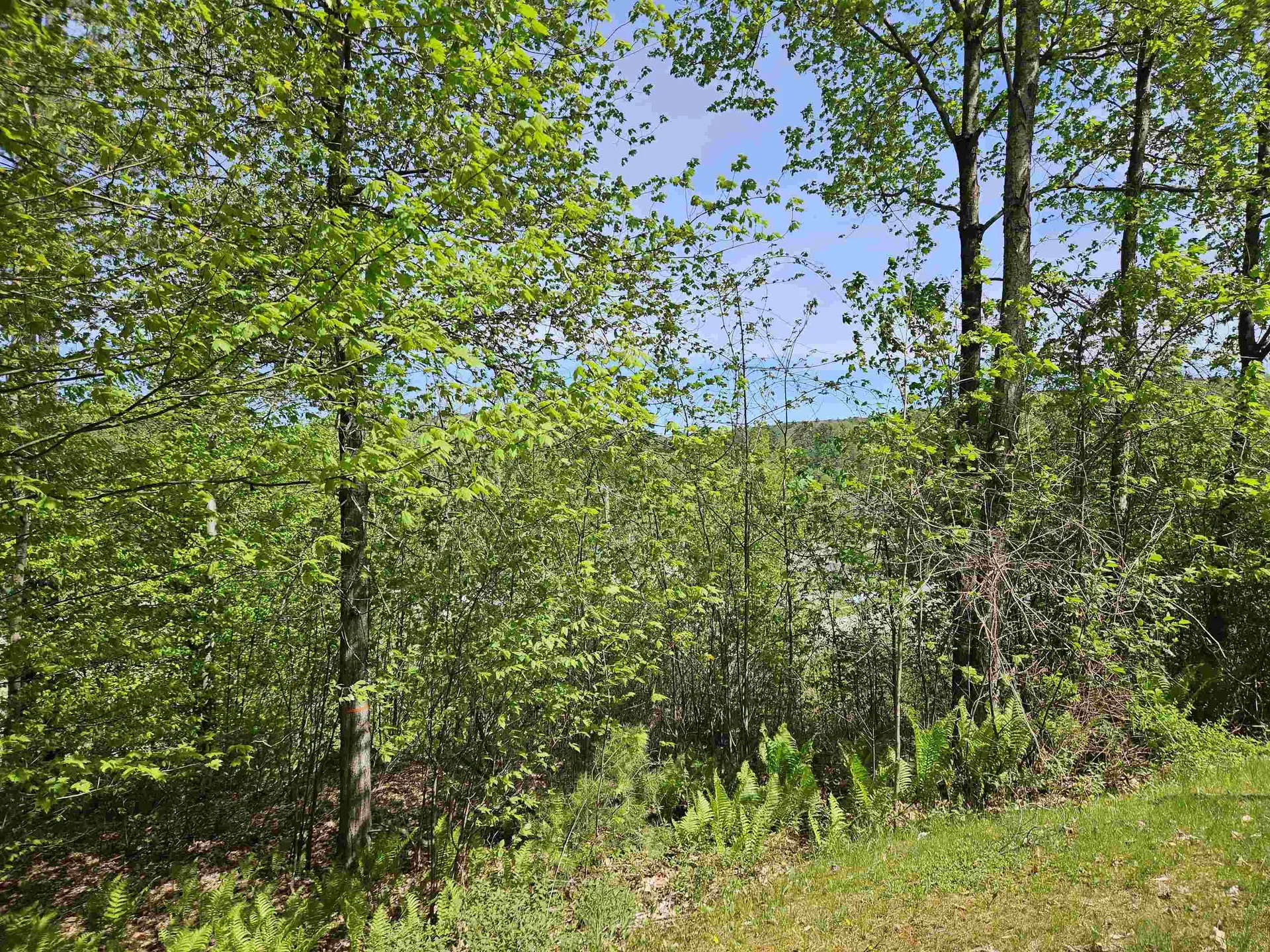 133 Highland Avenue Littleton NH 03561