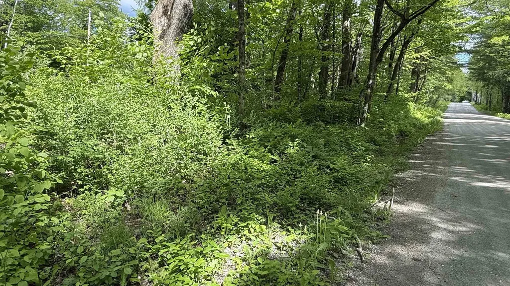 716 Cemetery Road Johnson VT 05656