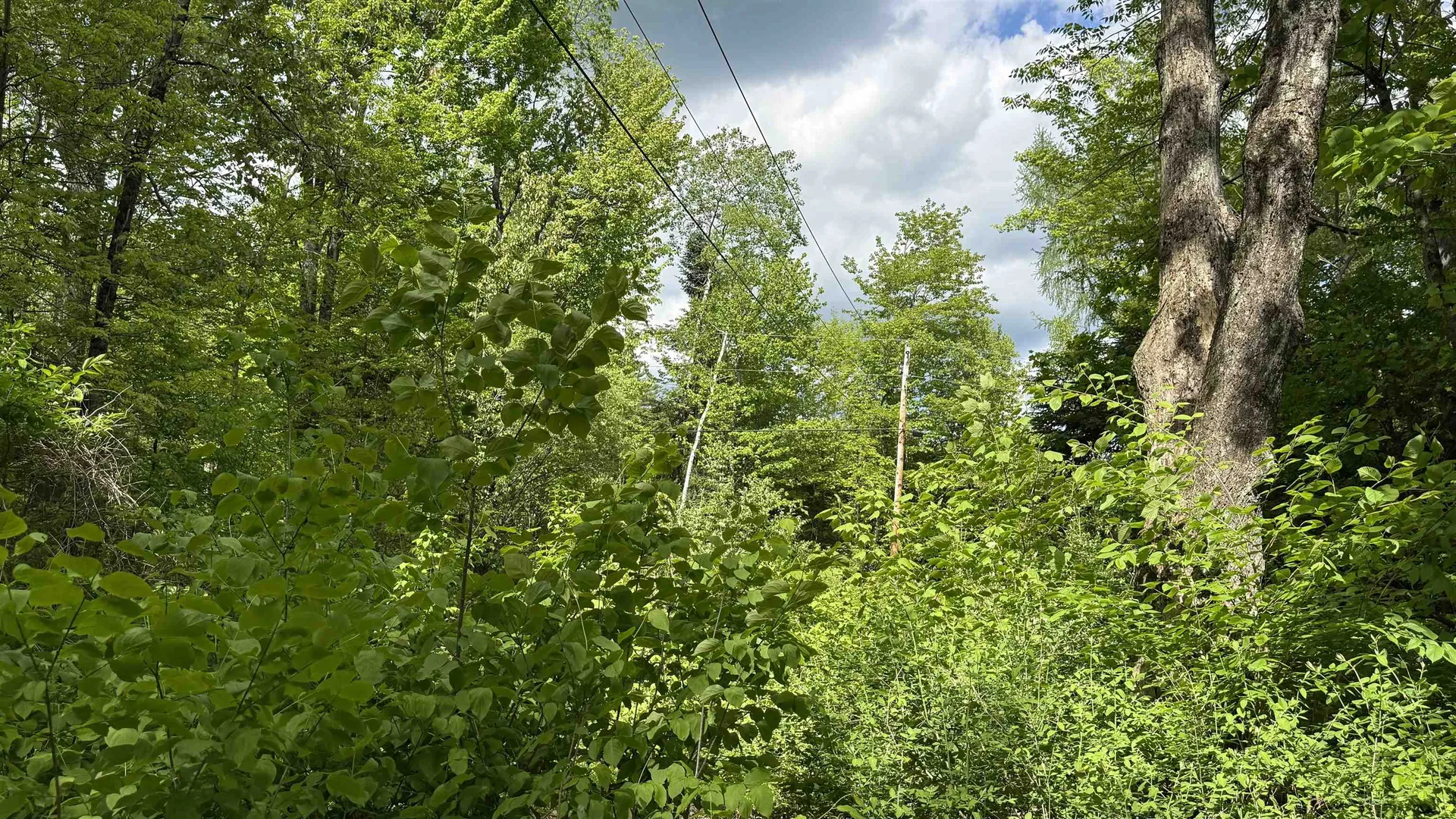 716 Cemetery Road Johnson VT 05656