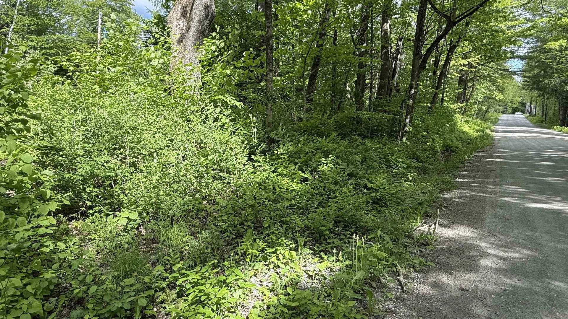 716 Cemetery Road Johnson VT 05656