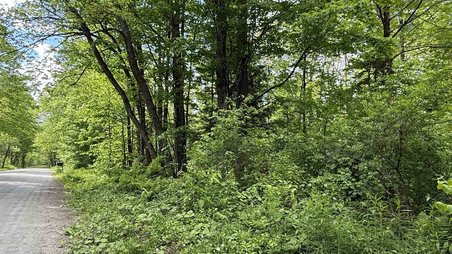 716 Cemetery Road Johnson VT 05656