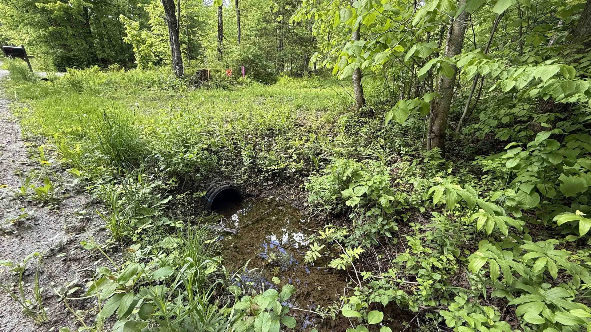 716 Cemetery Road Johnson VT 05656