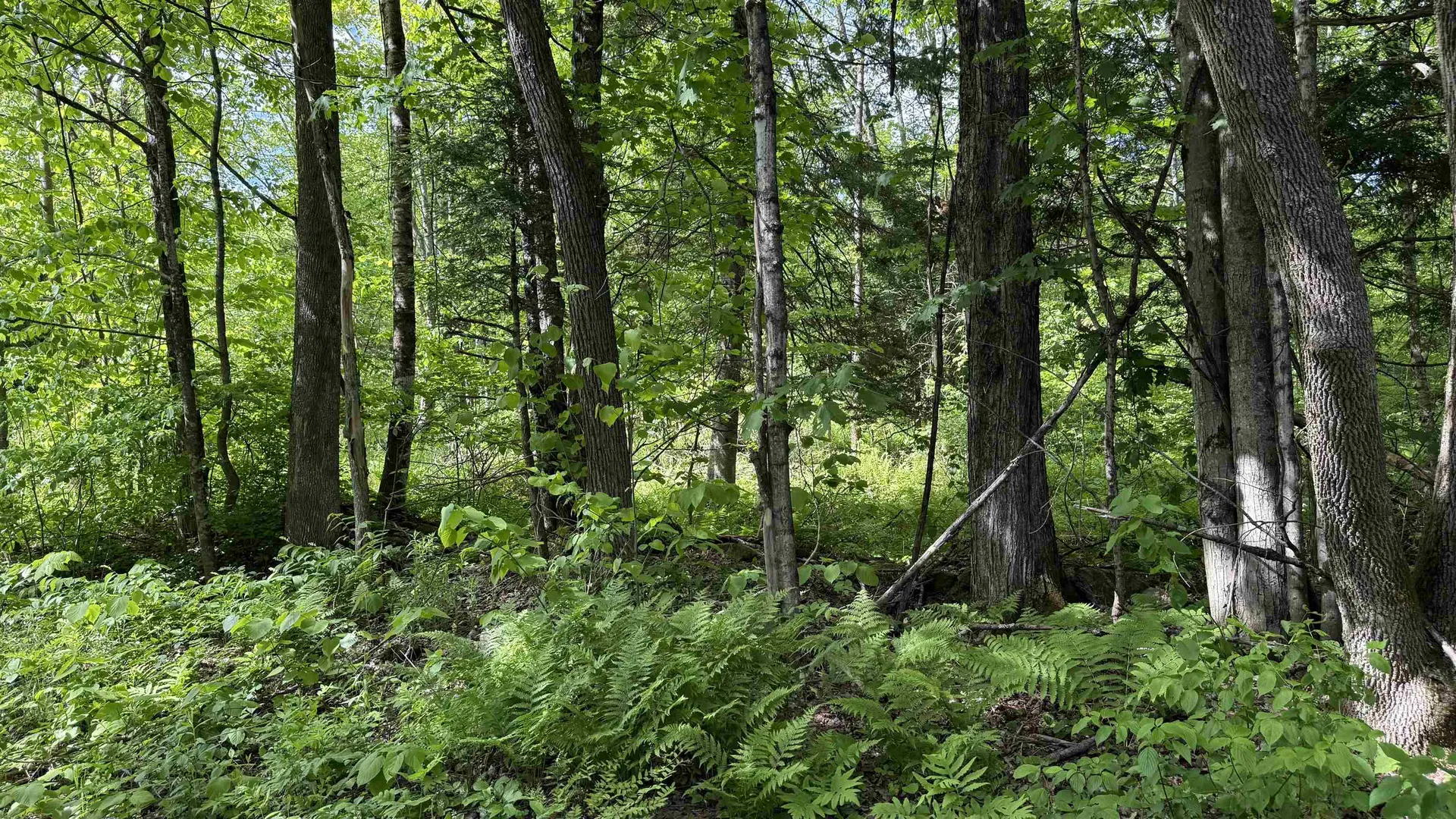 716 Cemetery Road Johnson VT 05656