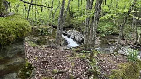 716 Cemetery Road Johnson VT 05656