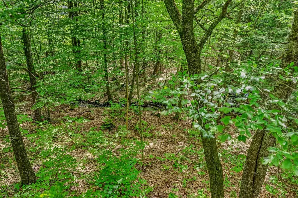 146 Bell Valley Road Campton NH 03223