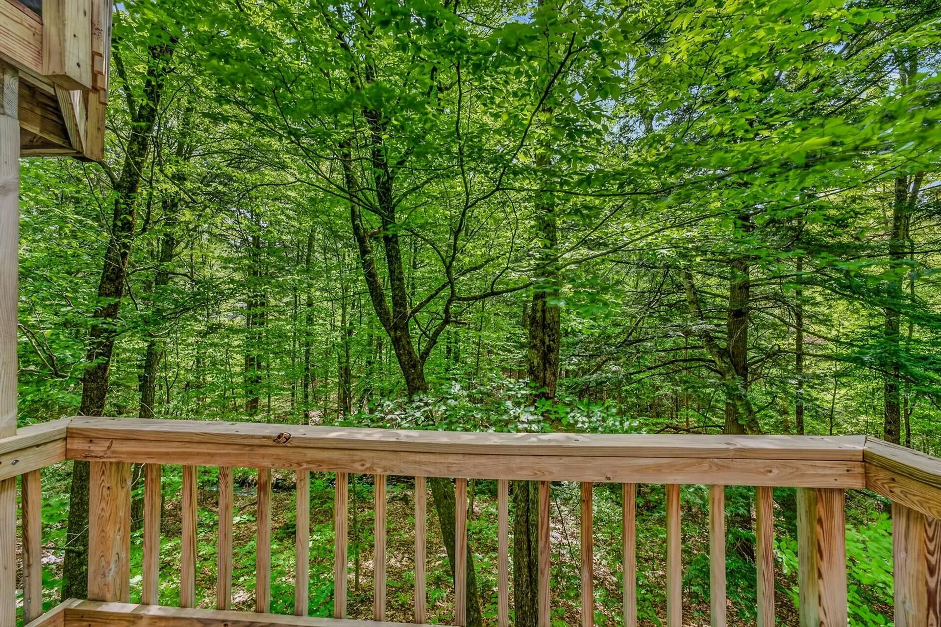 146 Bell Valley Road Campton NH 03223