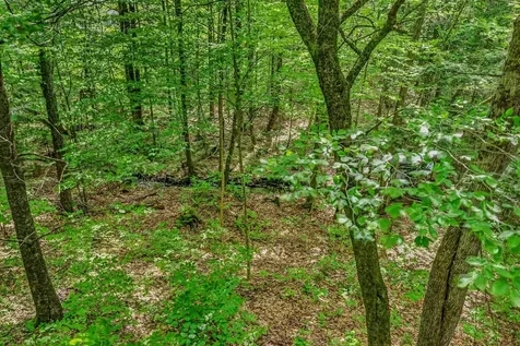 146 Bell Valley Road Campton NH 03223