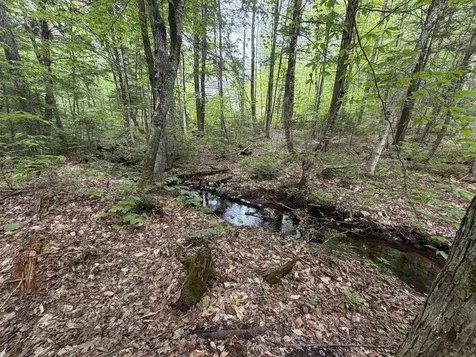 146 Bell Valley Road Campton NH 03223