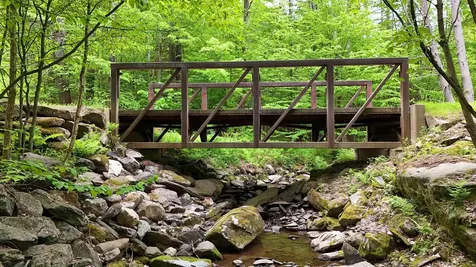 349 Old # 11 Road Westford VT 05494