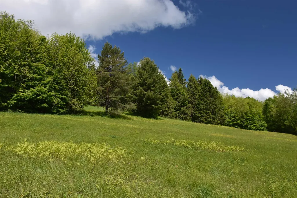 1574 Weir Road Williamstown VT 05679