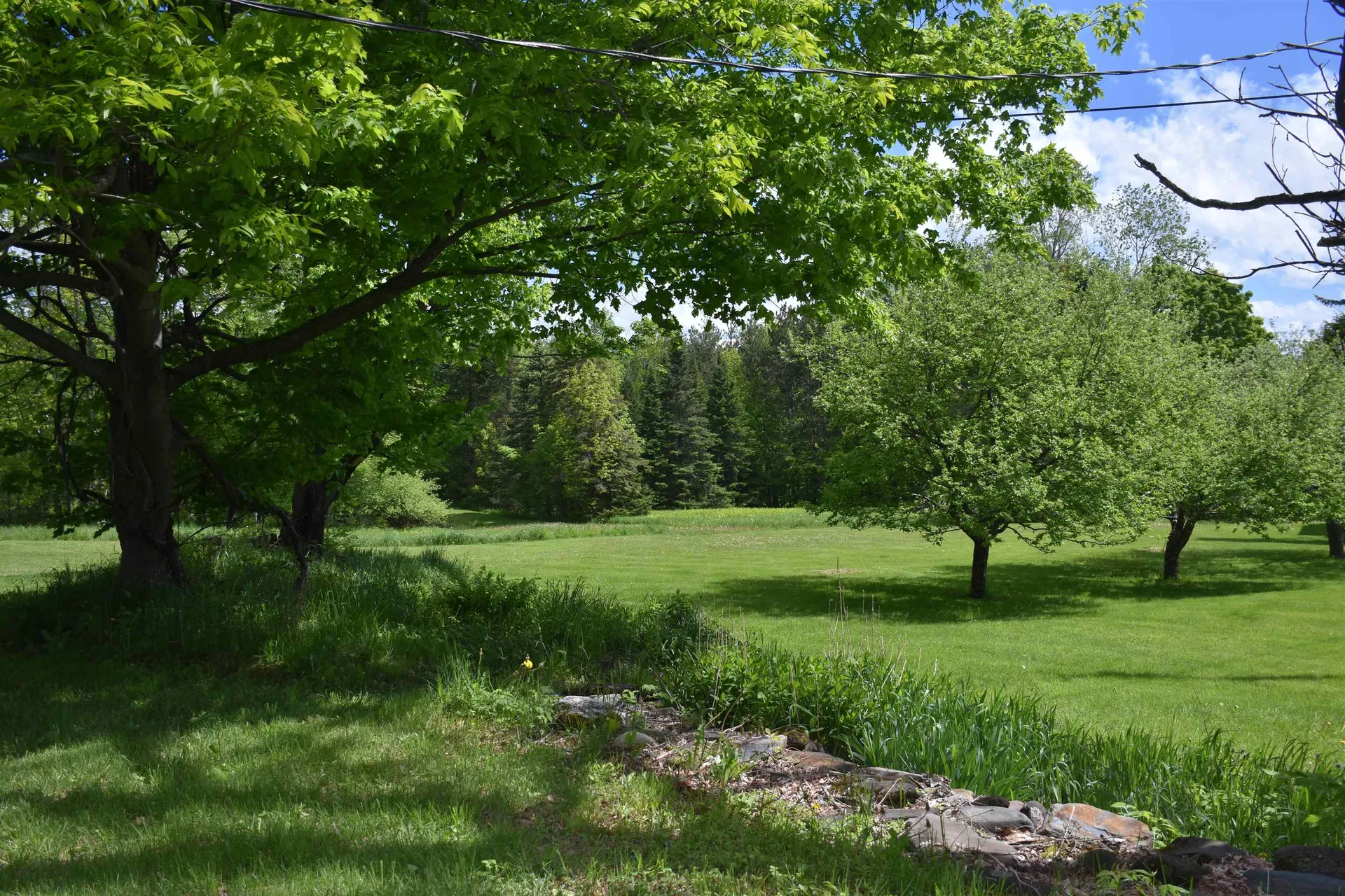 1574 Weir Road Williamstown VT 05679