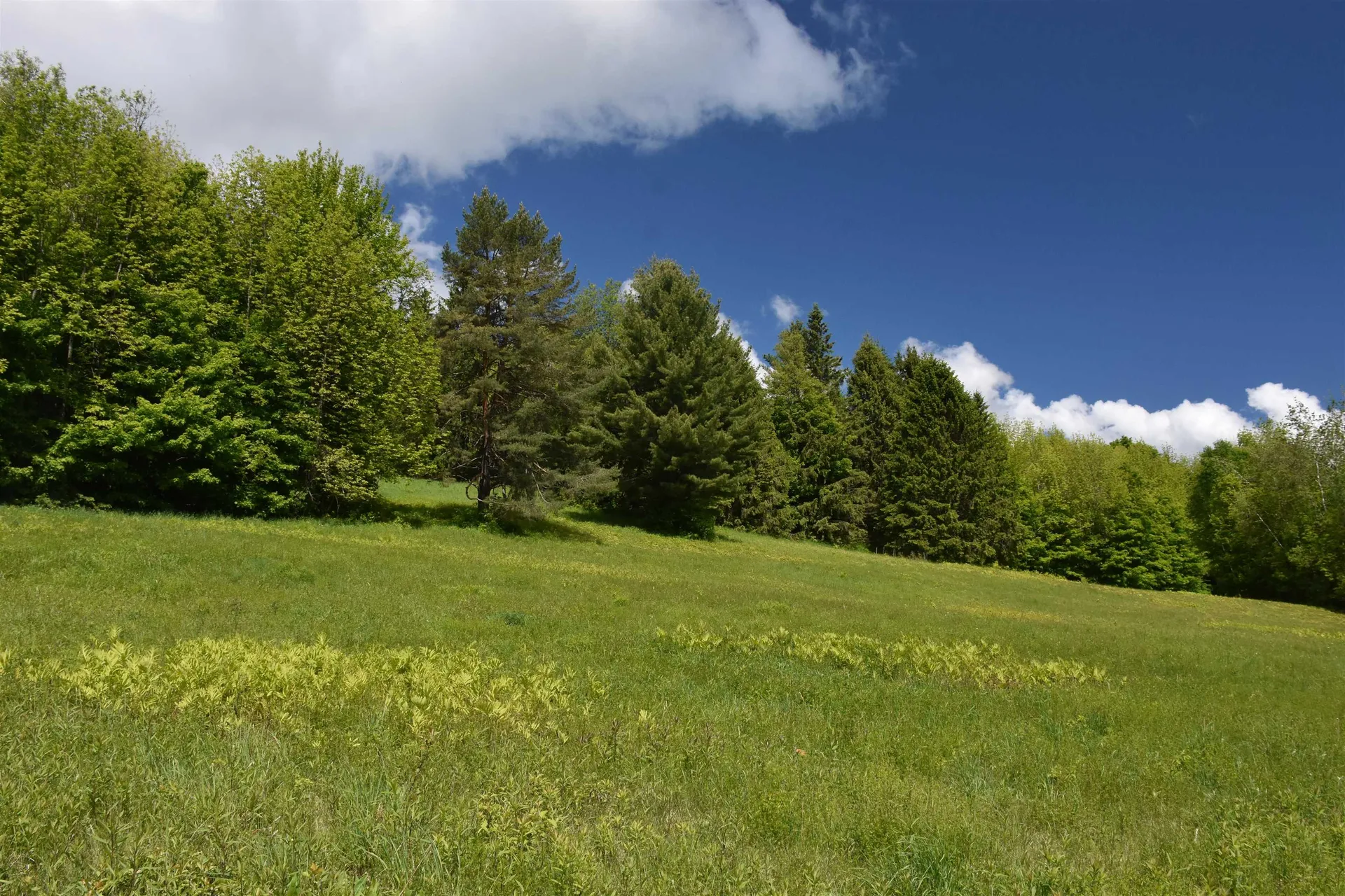 1574 Weir Road Williamstown VT 05679