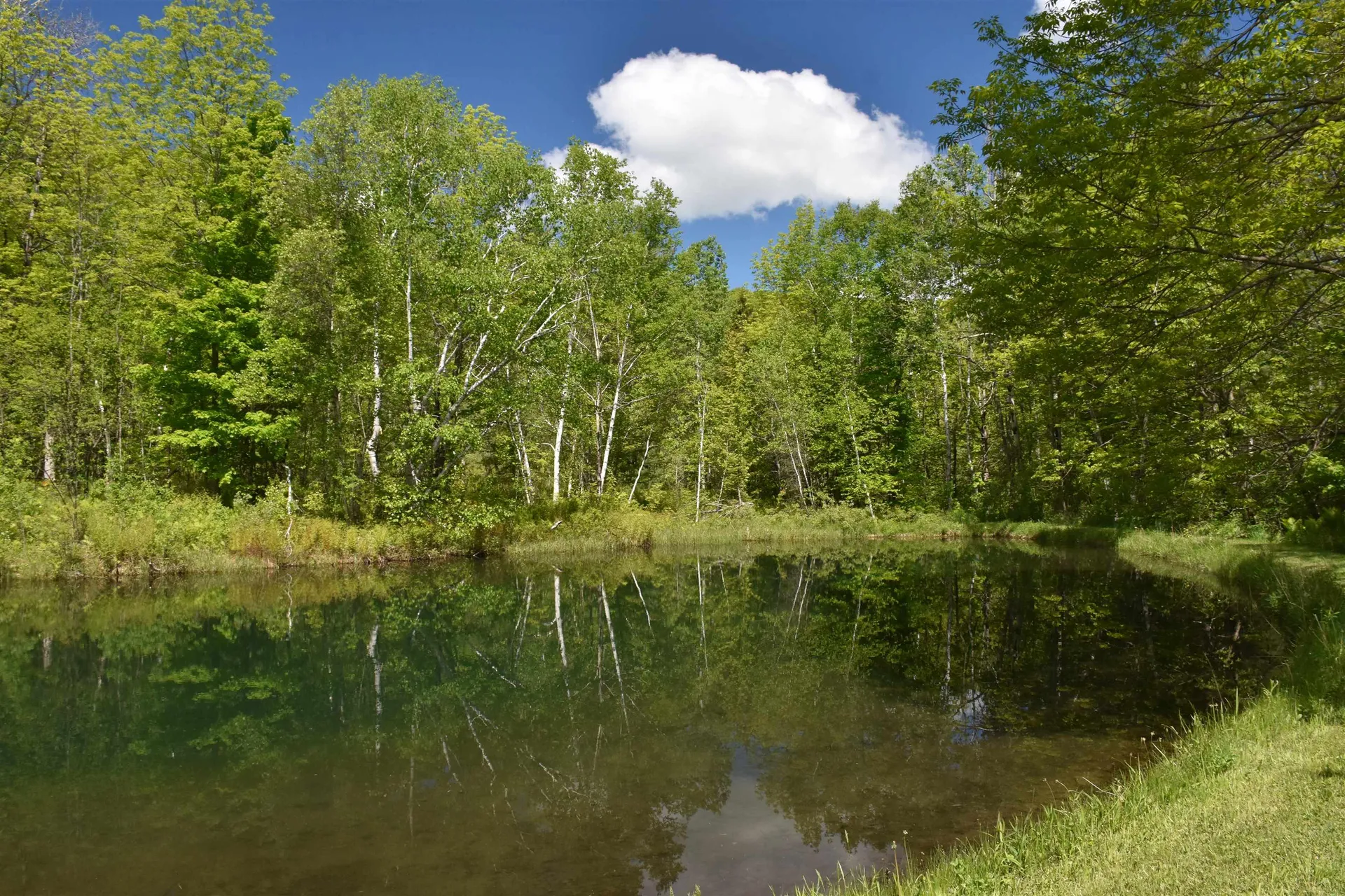 1574 Weir Road Williamstown VT 05679
