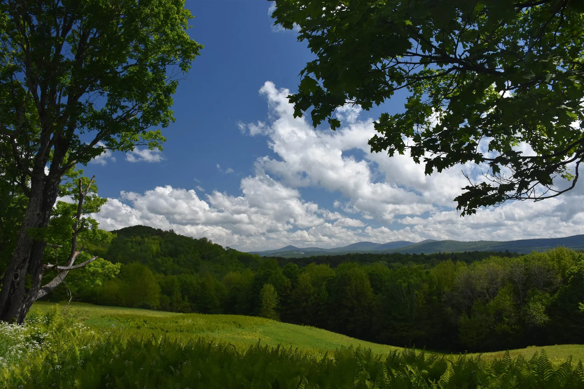 1574 Weir Road Williamstown VT 05679