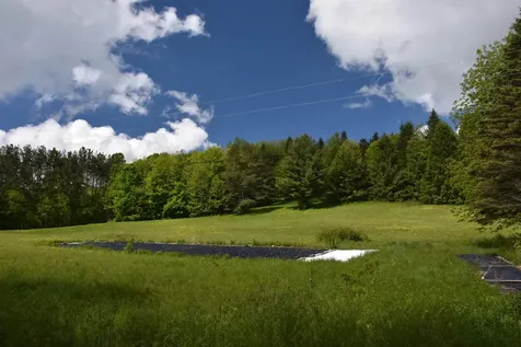 1574 Weir Road Williamstown VT 05679