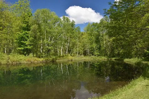 1574 Weir Road Williamstown VT 05679