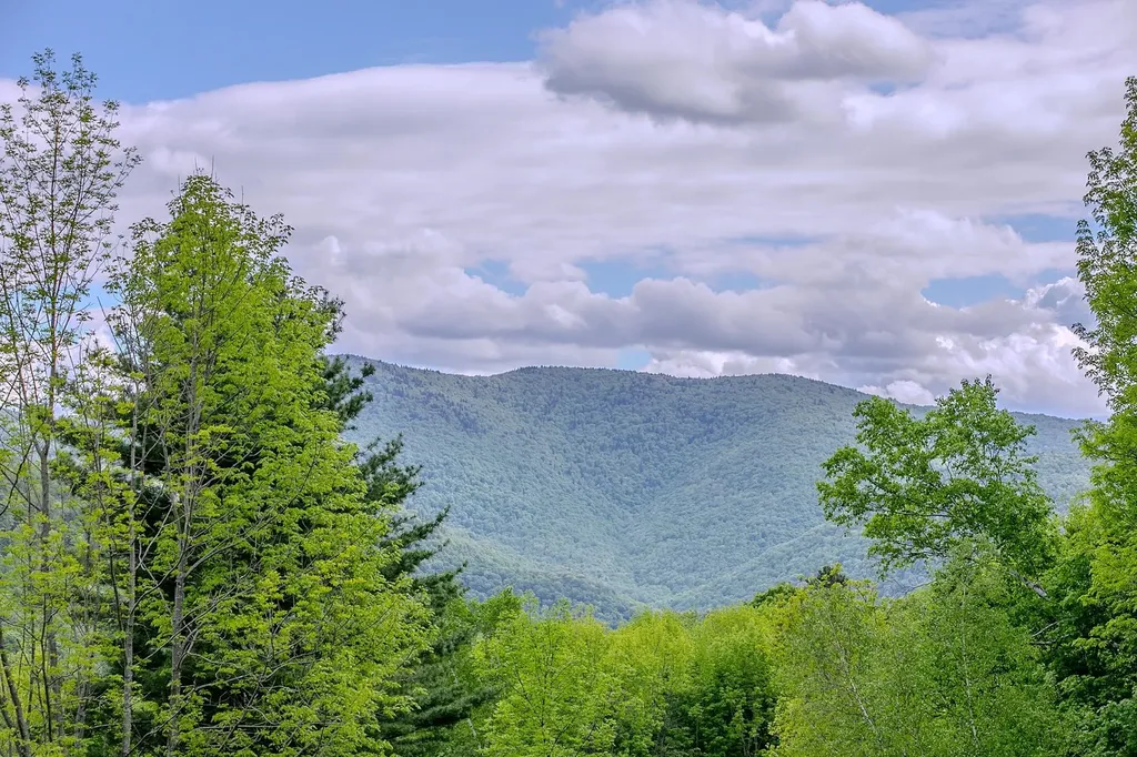 358 High Meadow Way Danby VT 05739