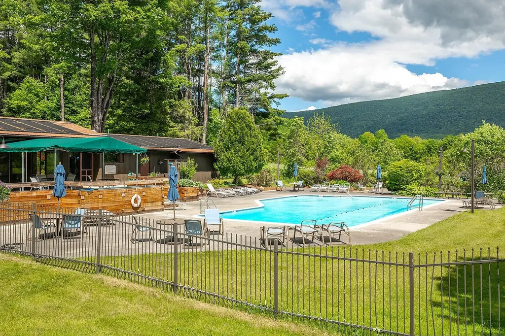 80 Murray Hill South Road Manchester VT 05255