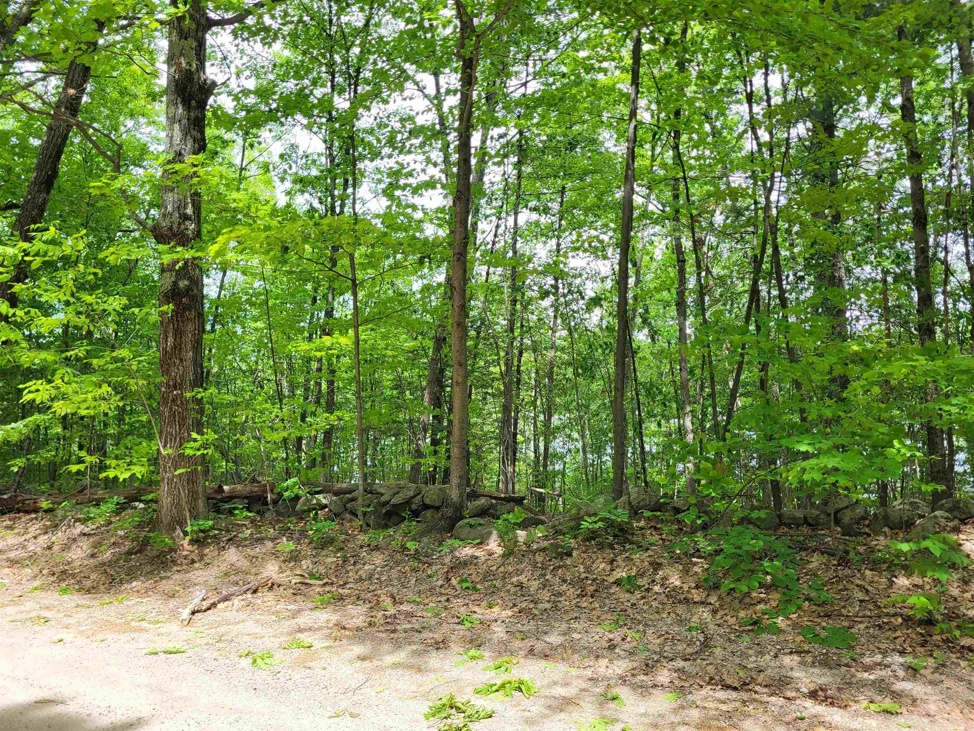 136 Martin Road Weare NH 03281