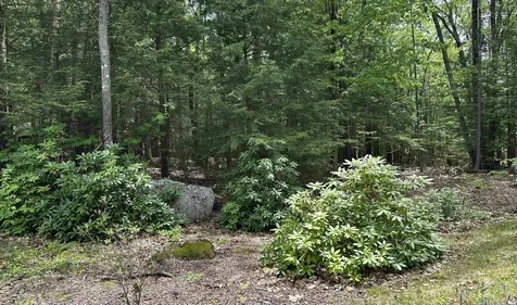 103 Boulder Drive Dublin NH 03444