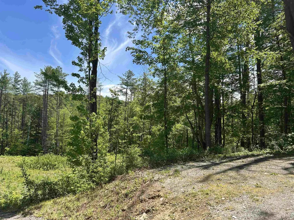 14 Sugar Lot Lane Jamaica VT 05343