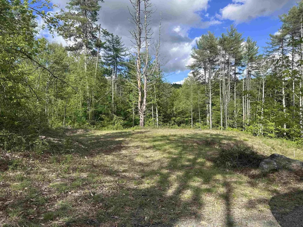 14 Sugar Lot Lane Jamaica VT 05343