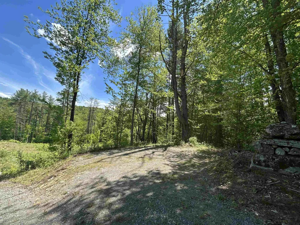 14 Sugar Lot Lane Jamaica VT 05343